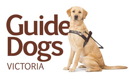 Guide Dogs Victoria | Pro Bono Australia