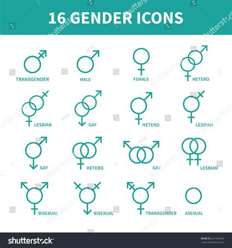 Sexual Orientation Gender Web Iconssymbolsign In Flat Style Male And Female Combination