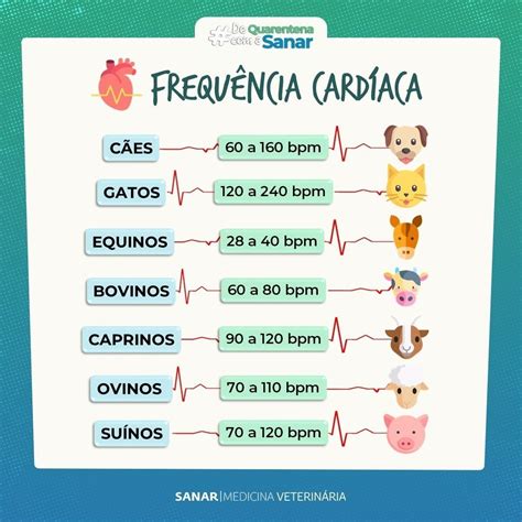 A Estatística Tenta Transformar Um Punhado De Números Em.informações Que