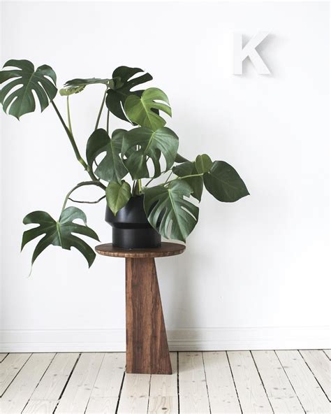 Scandi Six Norwegian Instagram Accounts To Follow Plant Pot Design