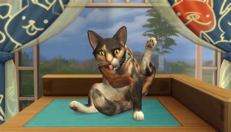 Put the file in this folder: EA shows off how to make your pets in Sims 4 Cats & Dogs ...