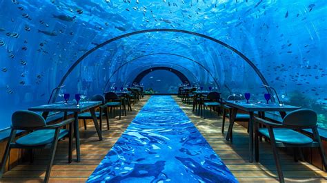 Dine Under The Sea During A Holiday At Kuredu Resort Maldives