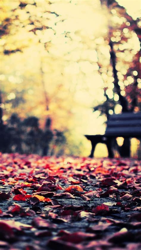 Download Autumn Leaves Park Bench Iphone Wallpaper Ipod Hd By