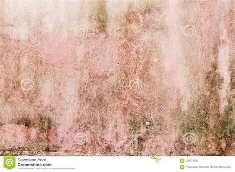 Old Pink Grunge Concrete Texture Background Stock Image