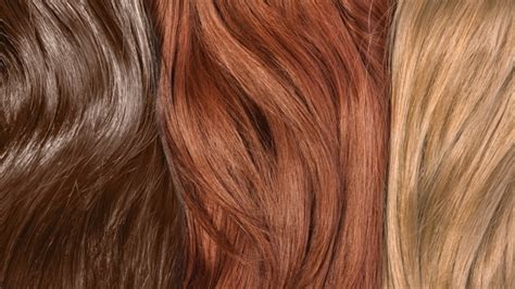 Different Shades Of Brown Hair Color To Choose From Prix Constantin