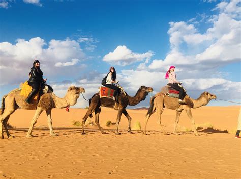 Tours From Fes To Marrakech Via Desert In 4 Days Morocco Desert