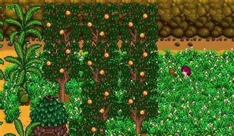 Stardew Valley The Best Fruit Trees All Ranked FandomSpot