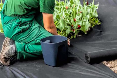 Quel GÉOTEXTILE Choisir Pour son JARDIN 3 Astuces de Pro