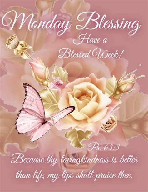 Butterfly Flowers Monday Blessing Pictures Photos And Images For