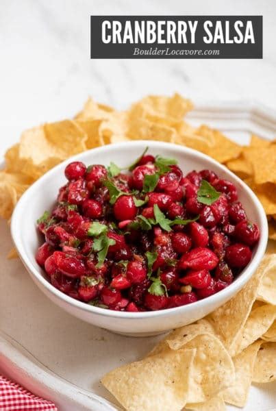 Cranberry Salsa An Easy Holiday Appetizer Recipe
