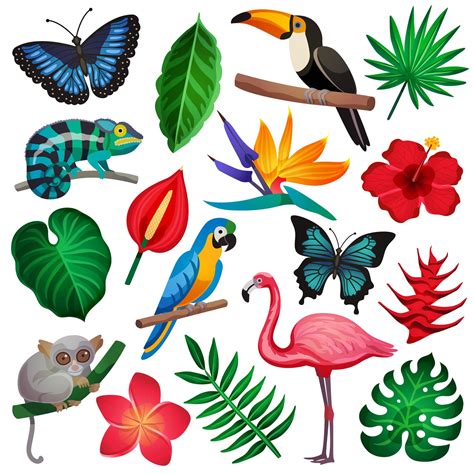 Conjunto De Flora Y Fauna Tropical 1406535 Vector En Vecteezy