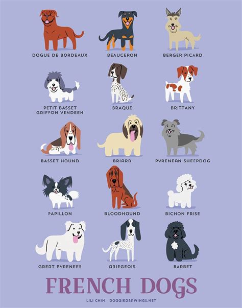Number Of Dog Breeds In The World