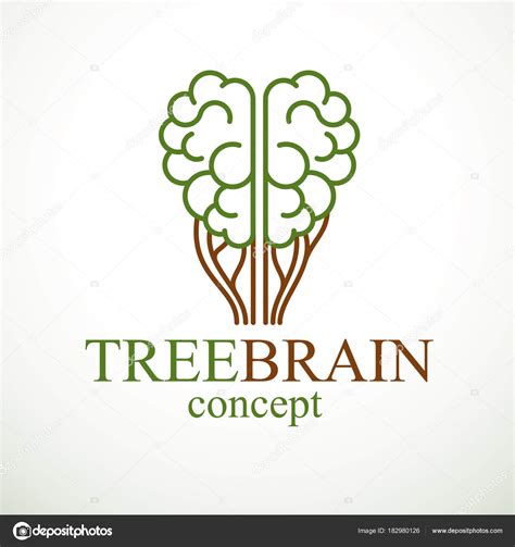 Conceito Cérebro Árvore Sabedoria Natureza Evolução Inteligente Cérebro