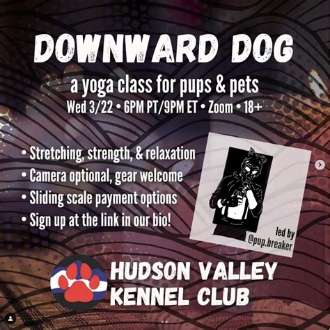 Downward Dog: A Yoga Class for Pups & Pets – Big Gay Hudson Valley