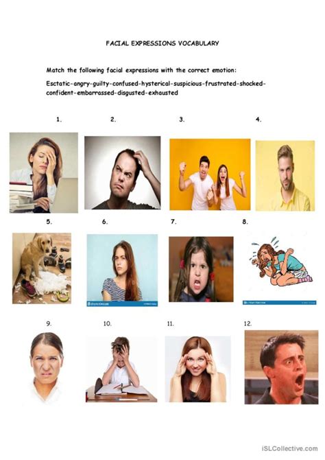 Facial Expressions Vocabulary English Esl Worksheets Pdf And Doc