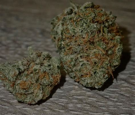 Strain Review Stardawg From Terpanese The Highest Critic