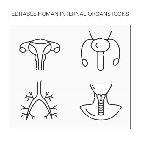 Penis Clipart Illustrations Royalty Free Vector Graphics And Clip Art