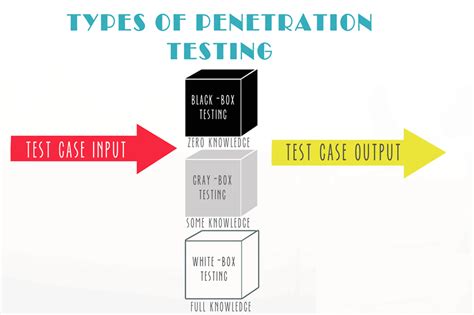 What Is Penetration Testing Steps Methods Types