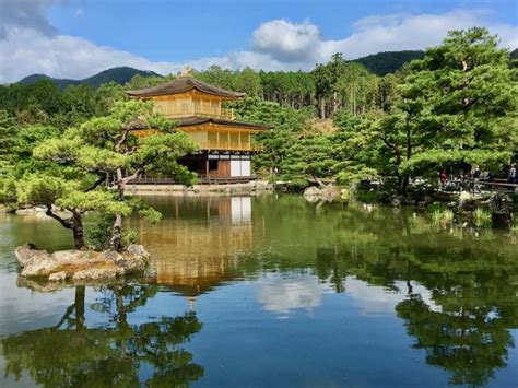 What Countries Require Pet Quarantine? - Travelnuity