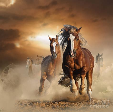 Two Wild Chestnut Horses Running Photograph By Mariait