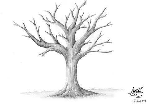 Tree Sketch Atworkfas