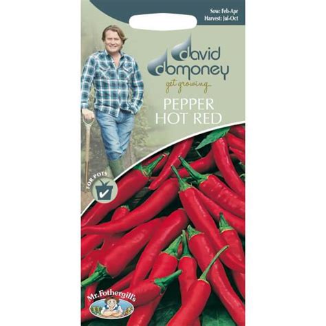 David Domoney Pepper Hot Red Seeds Homebase