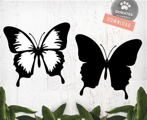 Free 301 Butterfly Layered Svg Svg Png Eps Dxf File