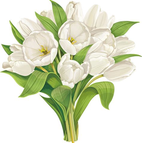 White Flower Bouquet Tulip Clip Art White Tulip Clip Art Library