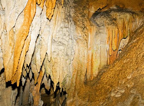 Stalactite Formation In Florida Caverns Photograph By Millard H Sharp