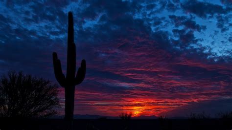 We hold a dual residential and commercial contractor's license (arizona registrar of contractors number 230602). 2560x1440 tucson, arizona, cactus 1440P Resolution ...