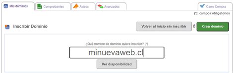 Al comprar un dominio deberás elegir dos cosas. CÓMO COMPRAR UN DOMINIO DE INTERNET EN CHILE » InformaTec