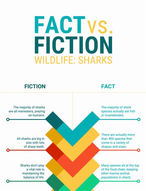 Infographic Examples Infographic Templates Types Of Infographics
