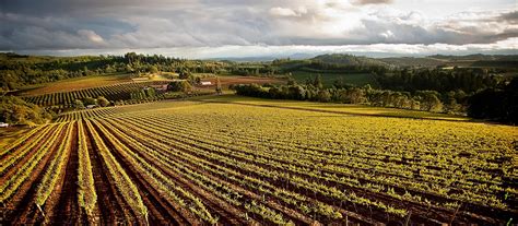 Willamette Valley, région viticole de l'Oregon