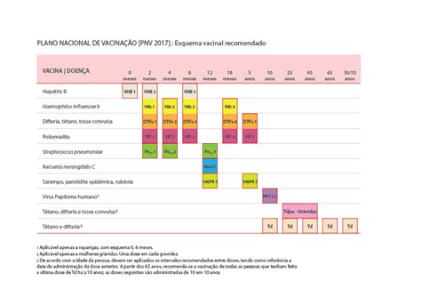 A dgs sublinha que os decisores e influenciadores nas comunidades desempenham também um papel relevante na promoção da vacinação em todas as oportunidades, podendo ajudar a reduzir as. O Plano Nacional de Vacinação sofreu alterações em 2017 ...