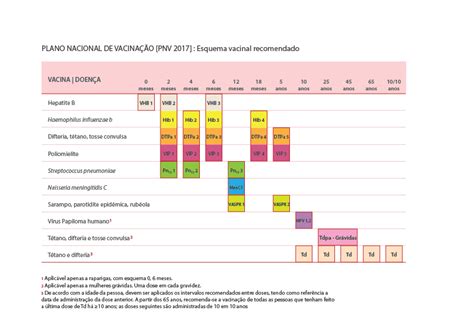 A dgs sublinha que os decisores e influenciadores nas comunidades desempenham também um papel relevante na promoção da vacinação em todas as oportunidades, podendo ajudar a reduzir as. O Plano Nacional de Vacinação sofreu alterações em 2017 ...