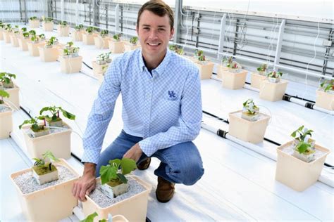 Cucumber Research Could Help Growers Extend Seasons And Diversify Vegetable Growers News