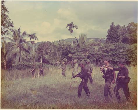 Soldiers Patrol Through The Grass And Jungle Troops Were Often