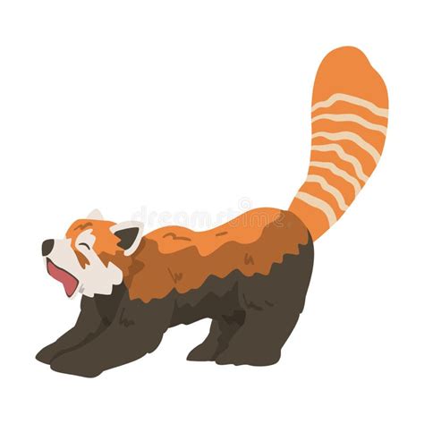 Side View Of Adorable Cute Red Panda Wild Animal Cartoon Vector
