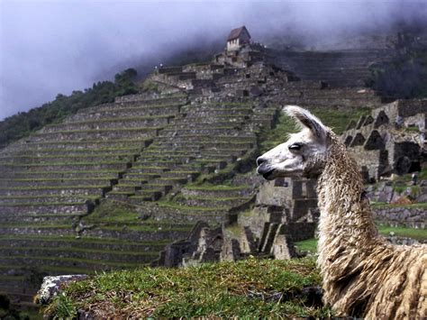 24 Decadent Facts About The Inca Empire