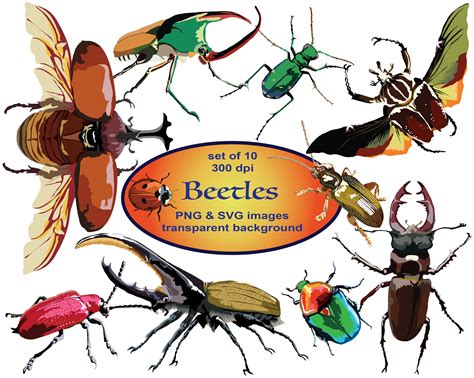 Beetles Clip Art, Bugs Clip Art, Animals Clip Art, SVG Clip Art, PNG, Printable, Ladybug 