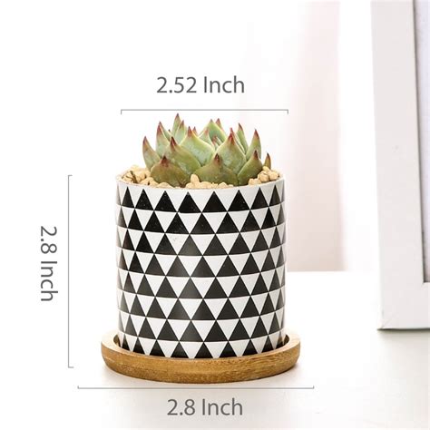Succulent Plant Pots With Bamboo Tray 3 Inch Geometry Etsy