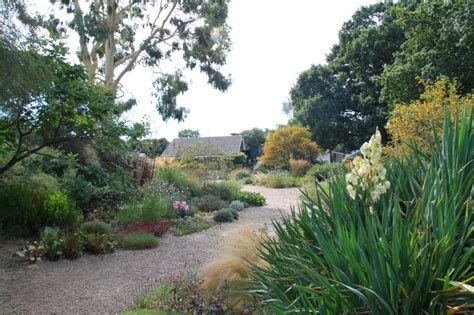 Yucca Provides Bold Architectural Structure In The Gravel Garden At