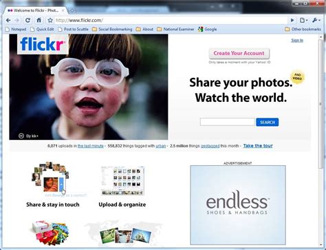 Setting Up An Online Photo Gallery With Flickr The Wedding