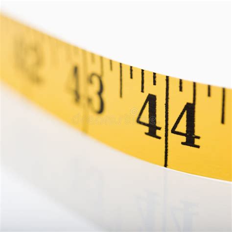 Measuring Tape Stock Photo Image Of Precision Selective 3531784