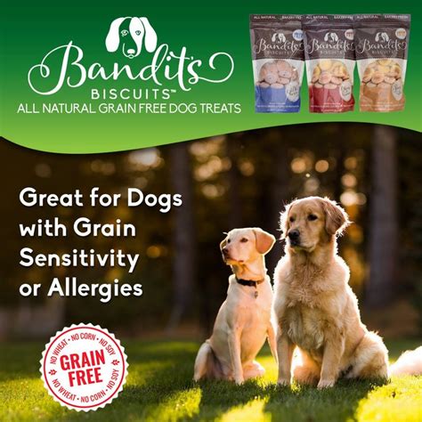 Bandits Biscuits All Natural Grain Free Healthy Peanut Butter Large Dog