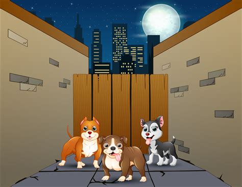 Cartoon Three Dogs In A Small Street Alley At Night 6951188 Vector Art