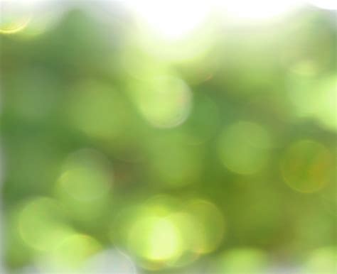 Free Images Grass Drop Dew Light Bokeh Blur Plant Sunlight