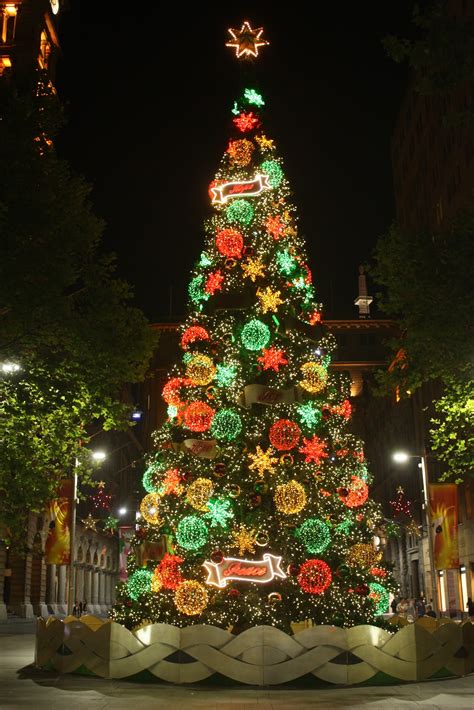 Sydney City And Suburbs Martin Place Christmas Tree