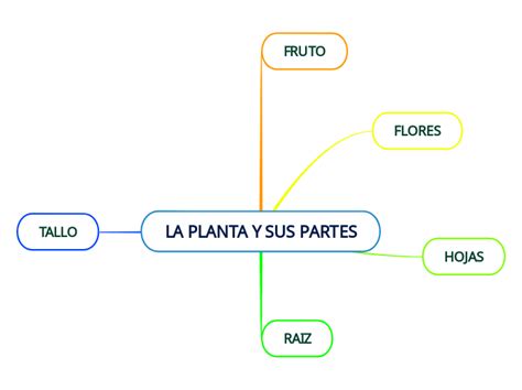 La Planta Y Sus Partes Mind Map