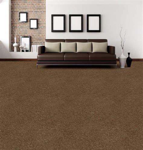 30 Dark Brown Carpet Living Room